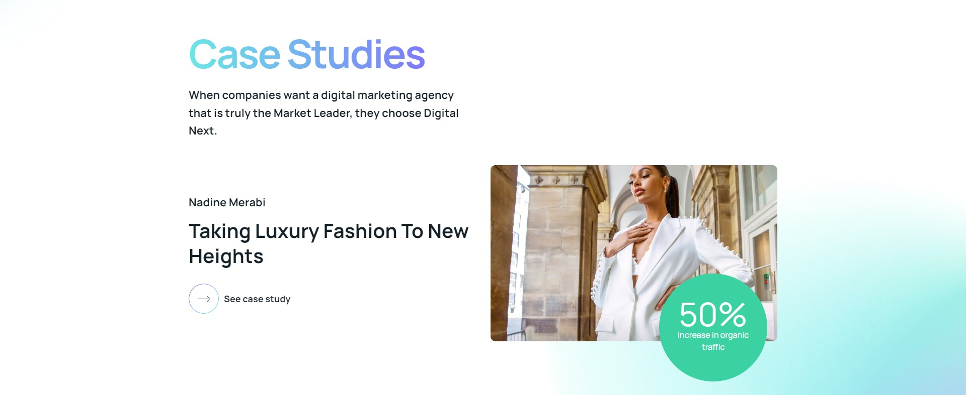 Screenshot of the Case Studies section