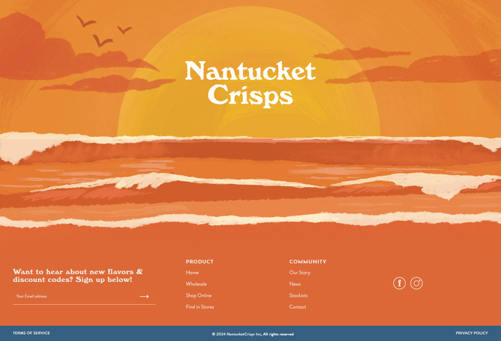 Screenshot of the Footer section