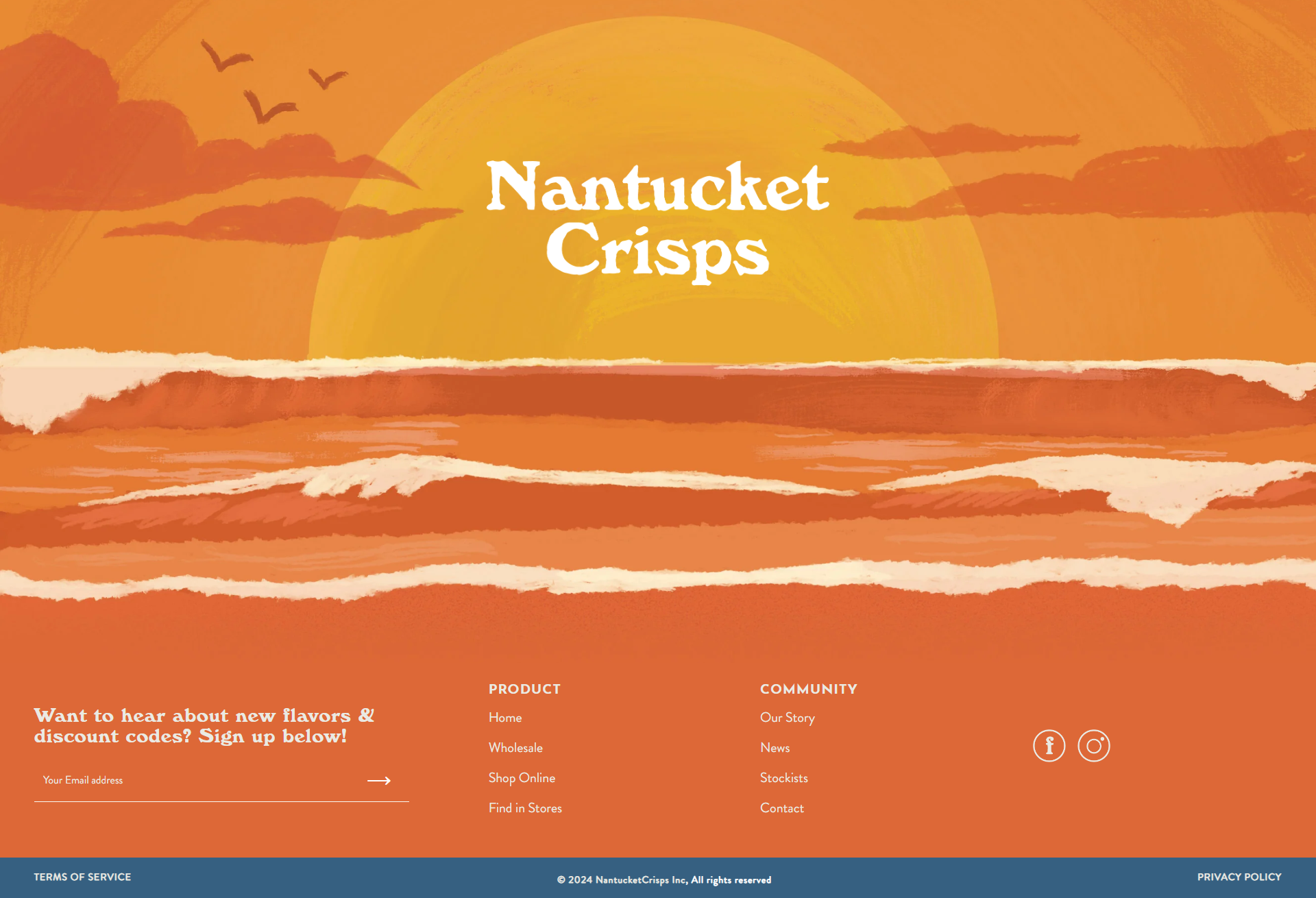 Screenshot of the Footer section