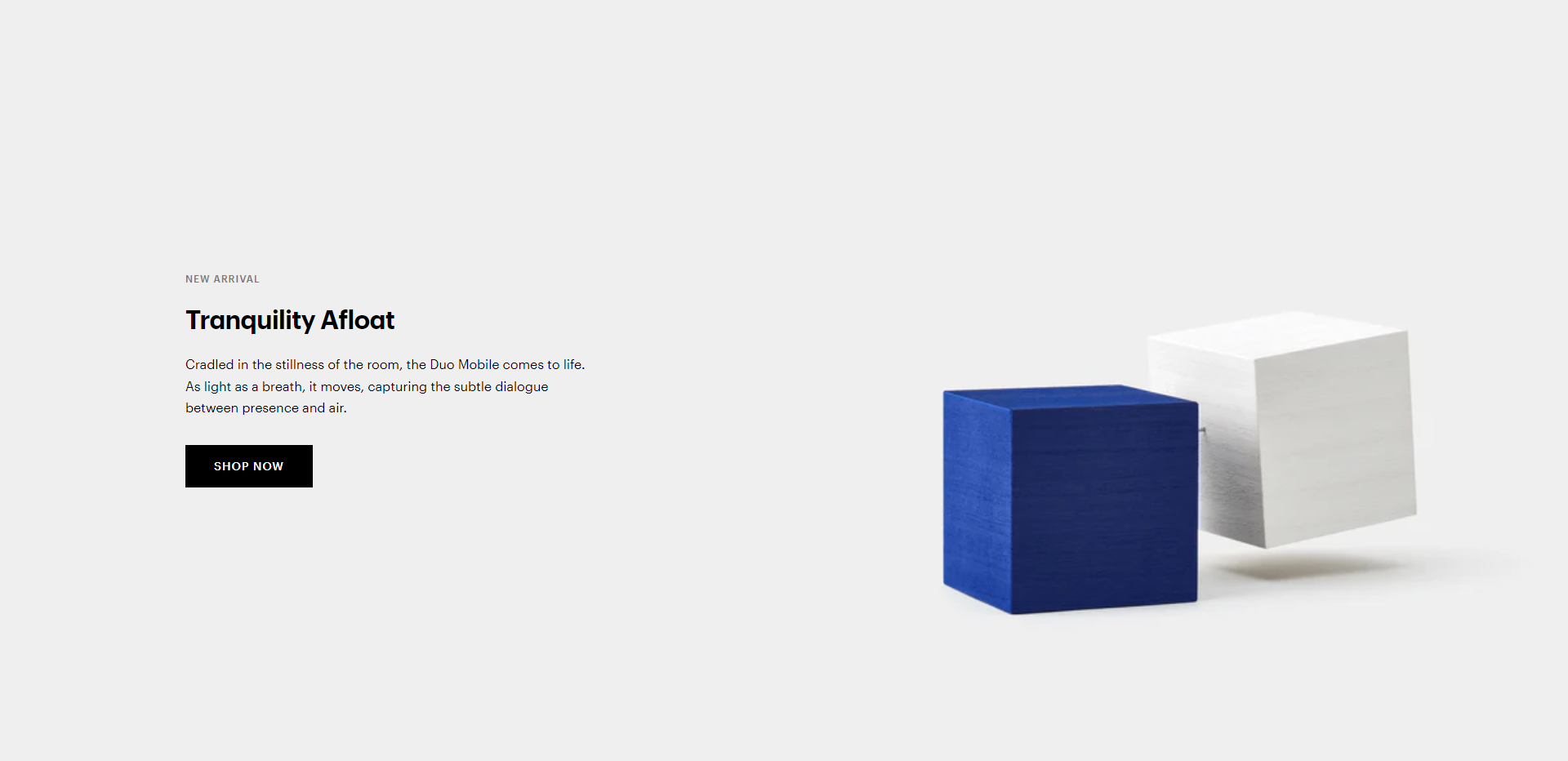 Screenshot of the CTA section