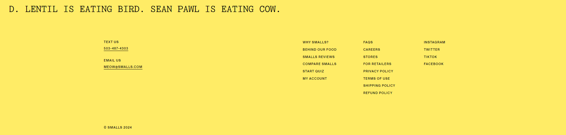 Screenshot of the Footer section