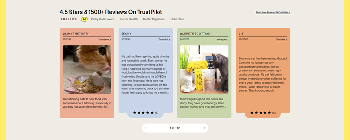 Screenshot of the Reviews section