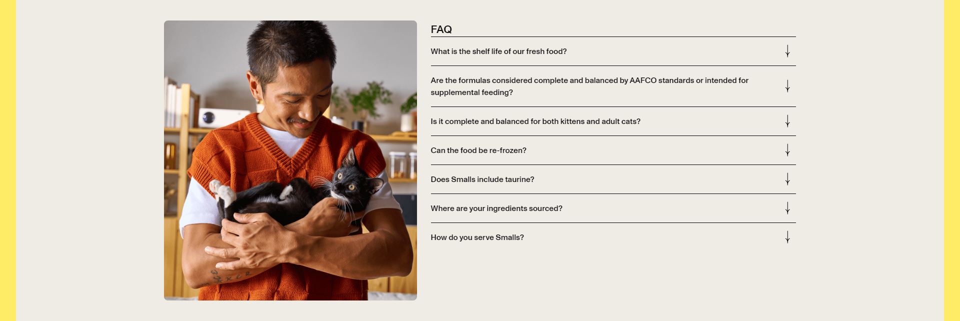 Screenshot of the FAQs section