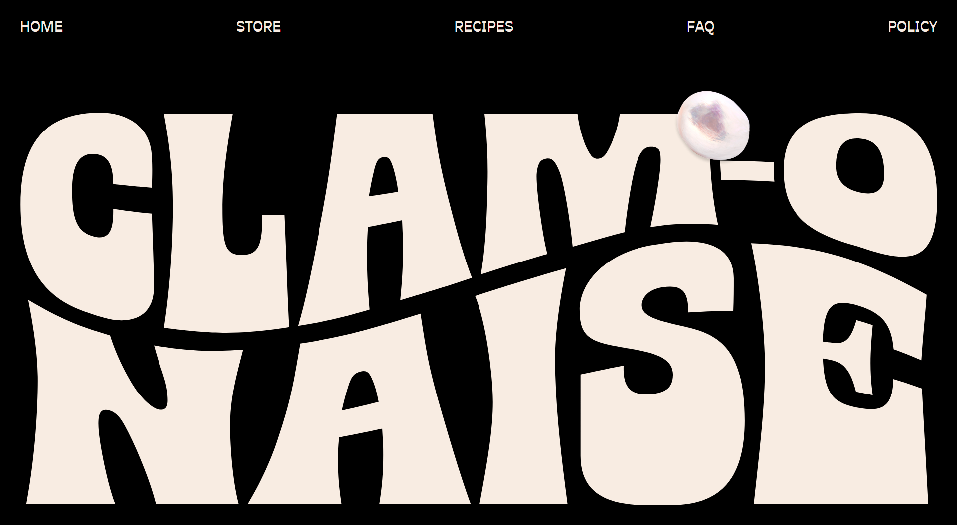 Screenshot of the Footer section