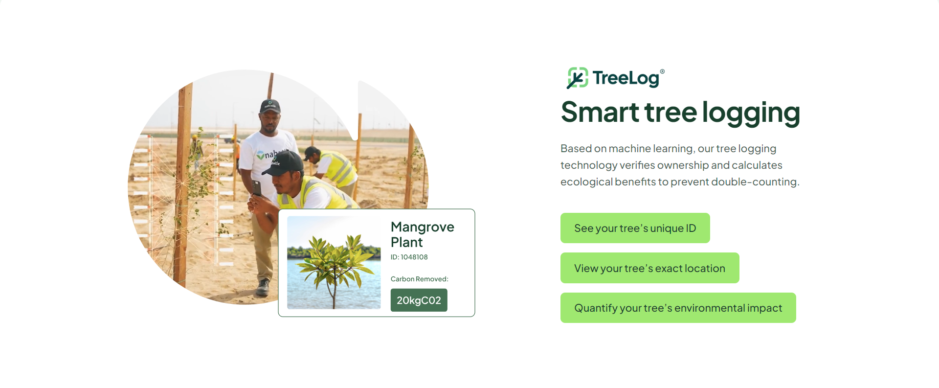 Screenshot of the Services section