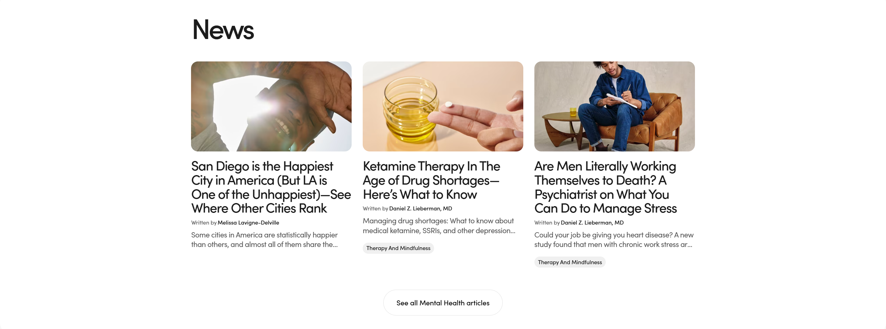Screenshot of the Blog Posts 2 section