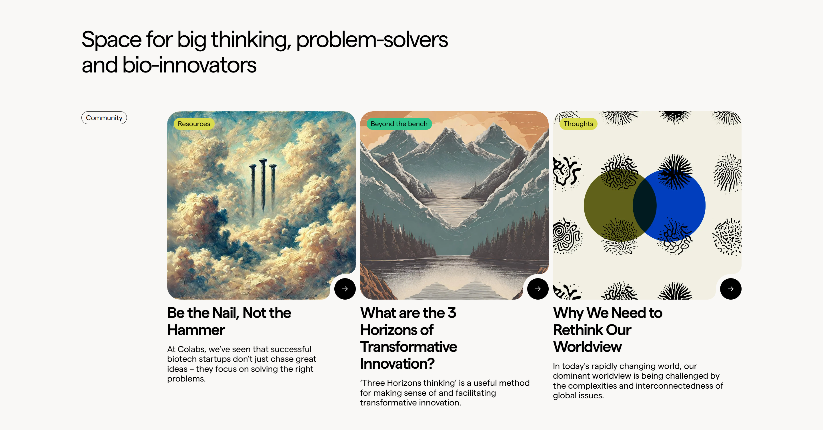 Screenshot of the Blog Posts section