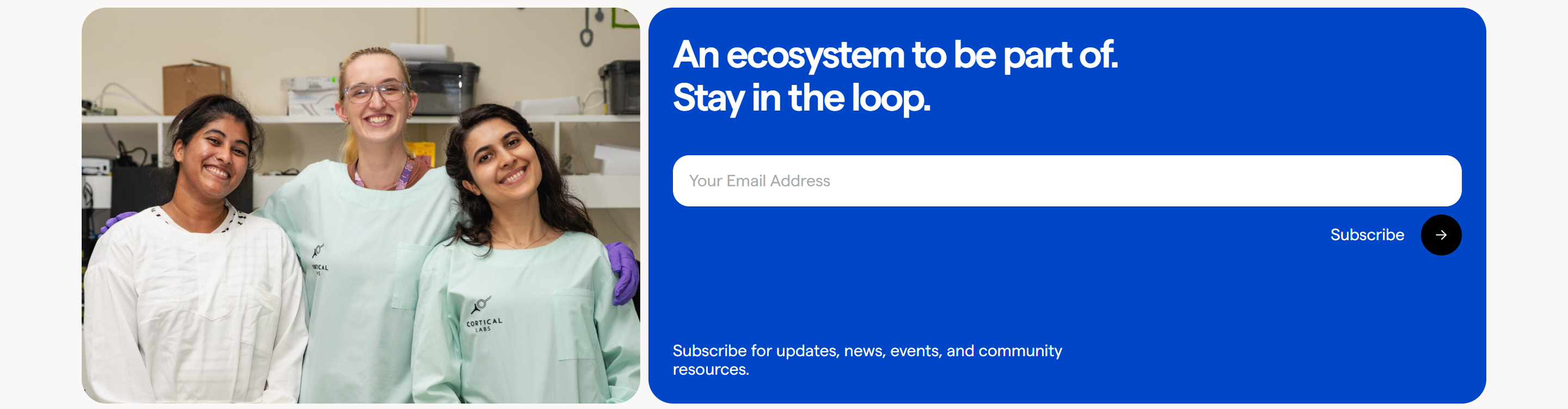 Screenshot of the Newsletter section