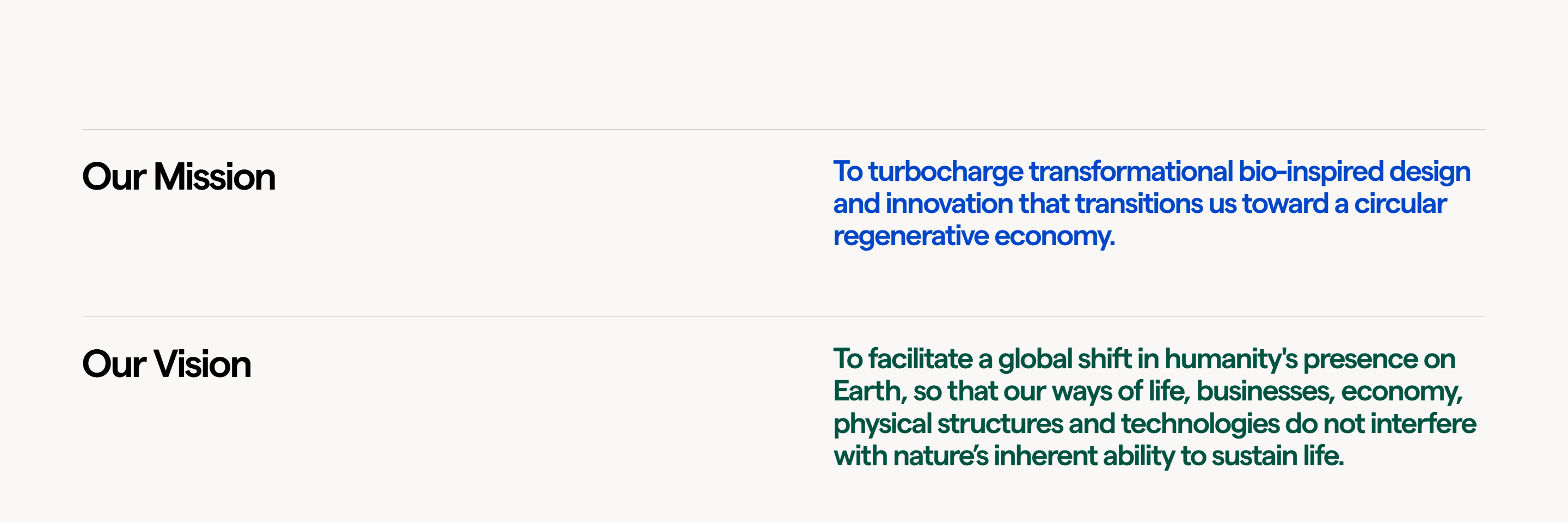 Screenshot of the Our Vision section