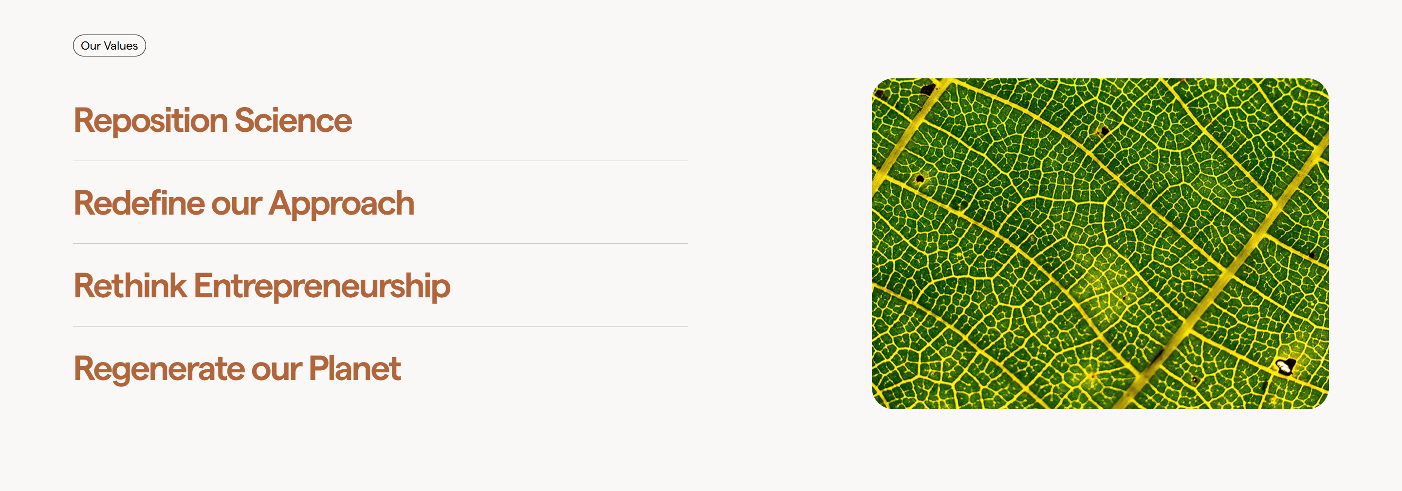 Screenshot of the Our Values section