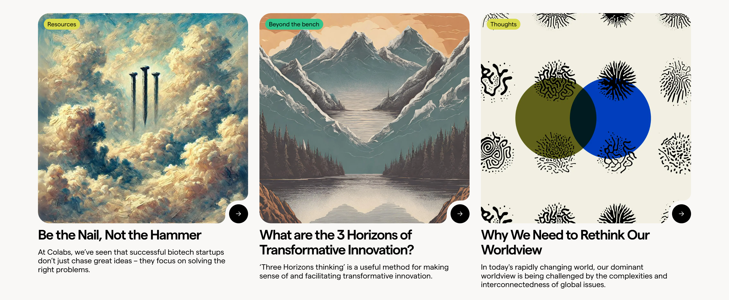 Screenshot of the Blog Posts section