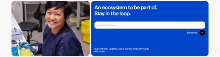 Newsletter section from Colabs