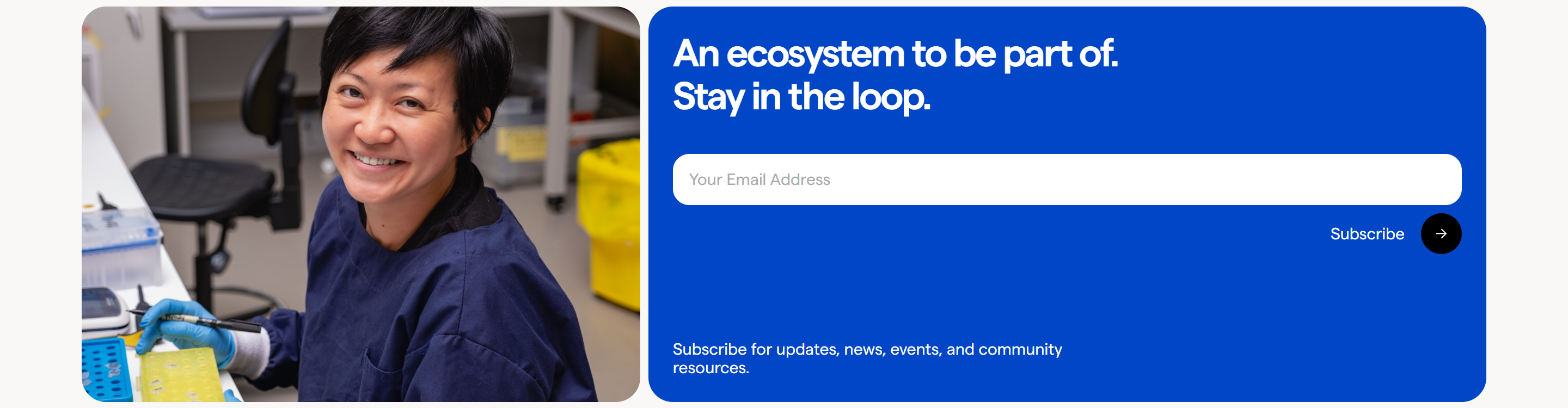 Screenshot of the Newsletter section