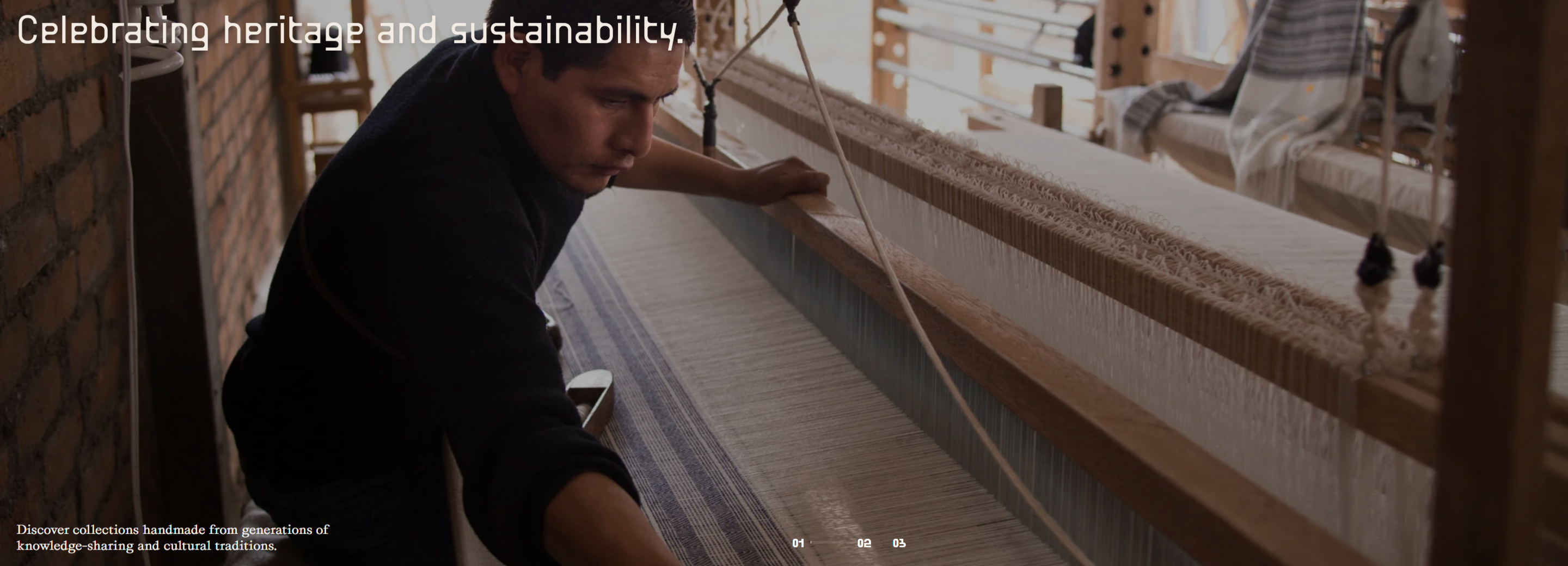 Screenshot of the Product Carousel section