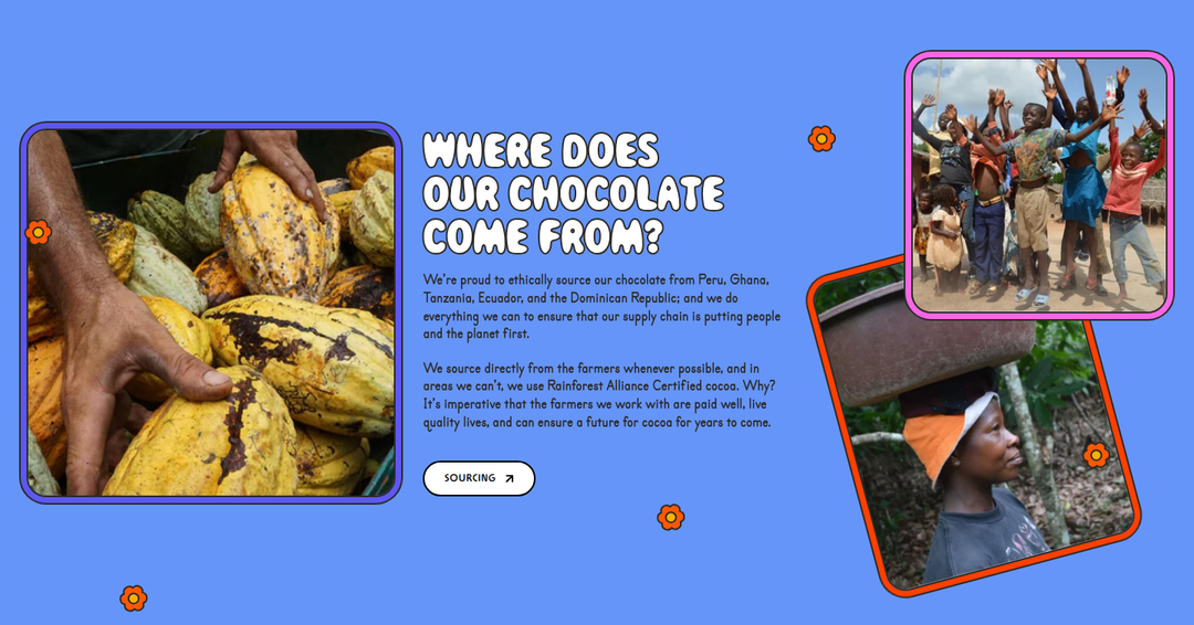 Where Our Chocolate Comes From section from Maeve