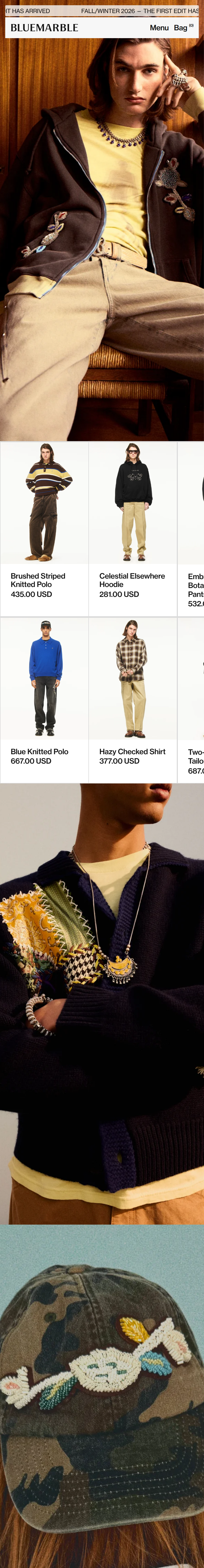 Home page of the Bluemarble website, on a phone