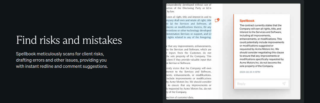 Find Risks and Mistakes section from Spellbook