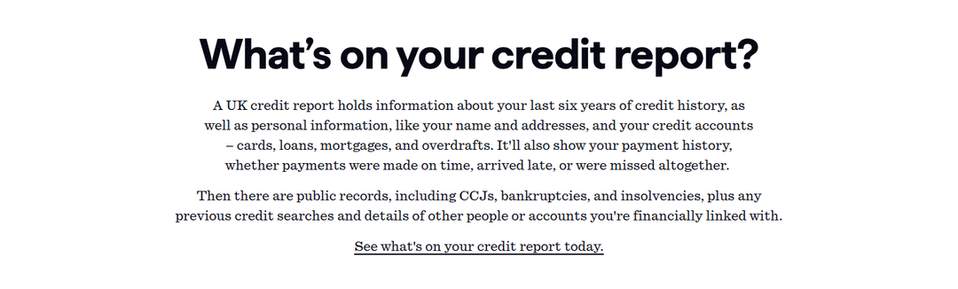 What's on Your Report section from Checkmyfile