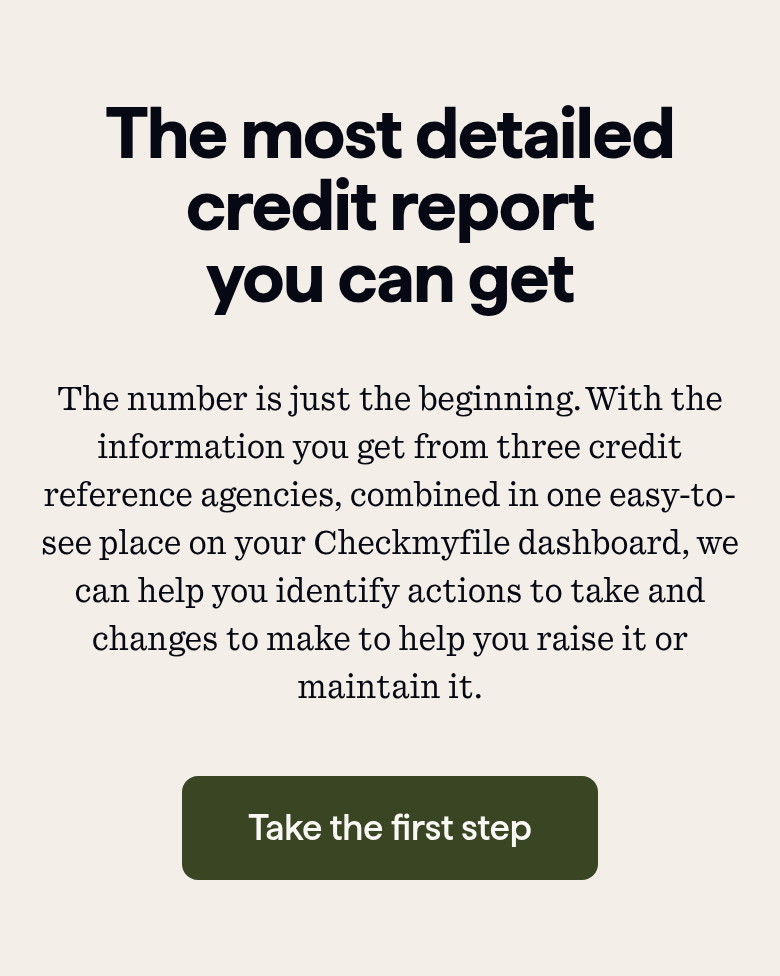The Most Detailed Report section from Checkmyfile, on a phone