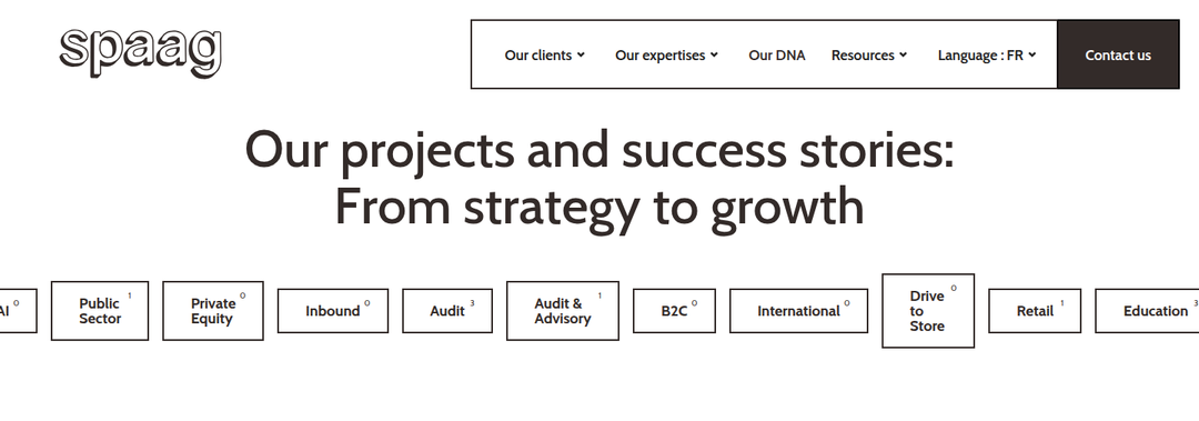 Our Projects and Success Stories section from Spaag