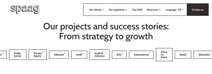 Our Projects and Success Stories section from Spaag