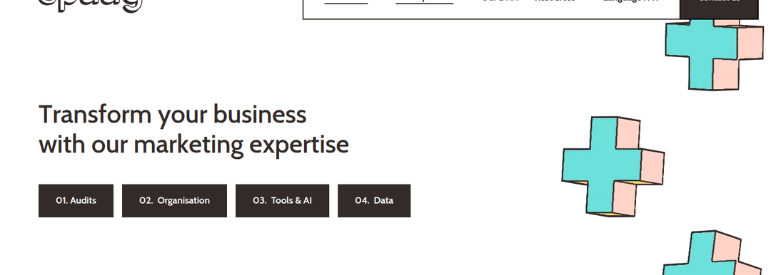 Transform Your Business With Our Marketing Expertise section from Spaag