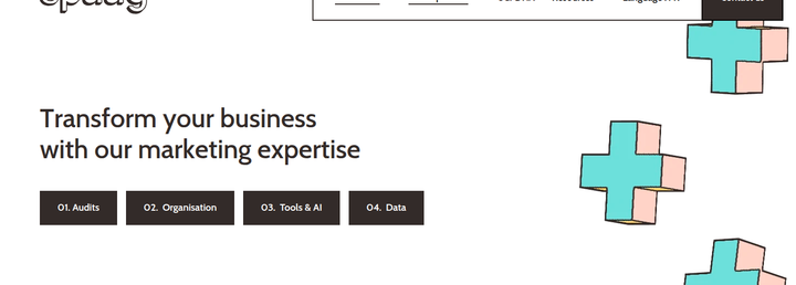 Transform Your Business With Our Marketing Expertise section from Spaag