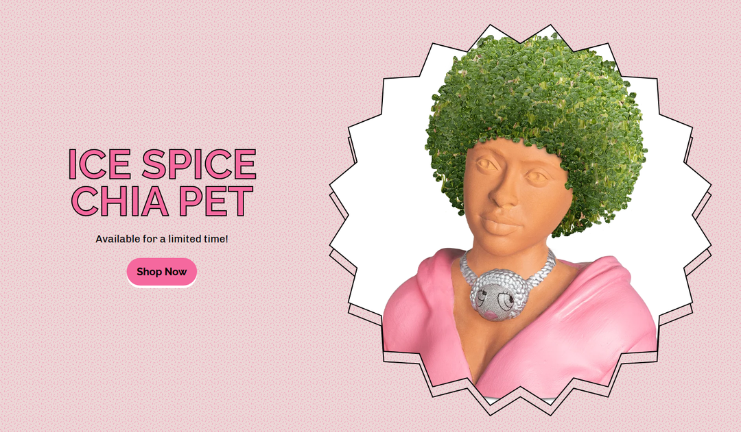 Ice Spice Chia Pet section from Chia Pet