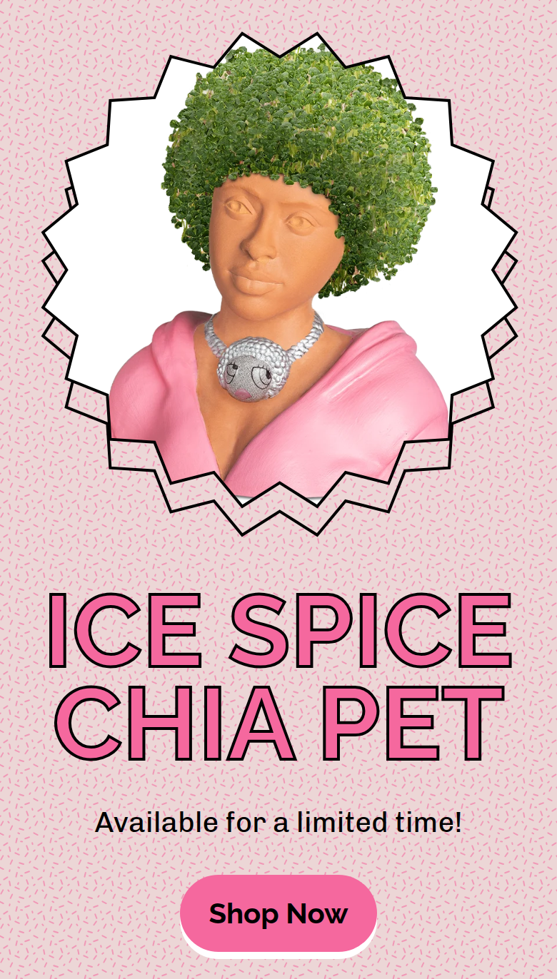 Ice Spice Chia Pet section from Chia Pet, on a phone