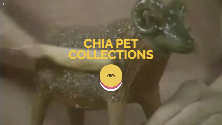 Chia Pet Collections section from Chia Pet