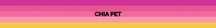 Chia Pet section from Chia Pet