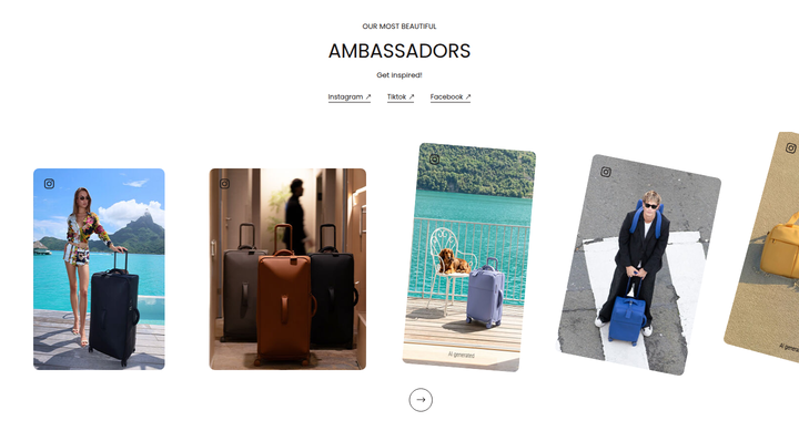 Ambassadors section from Lipault