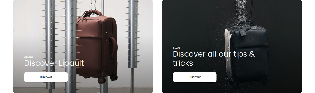 Discover Lipault section from Lipault