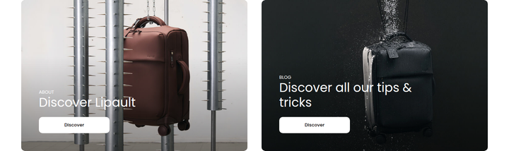 Discover Lipault section from Lipault
