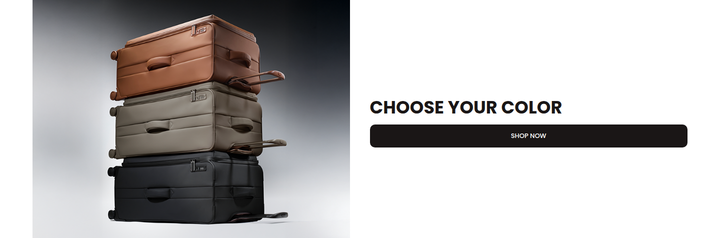 Choose Your Color section from Lipault