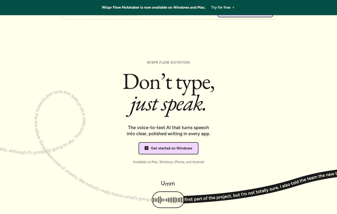 Don't Type, Just Speak section from Wispr Flow