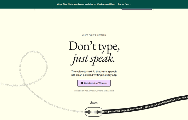 Don't Type, Just Speak section from Wispr Flow