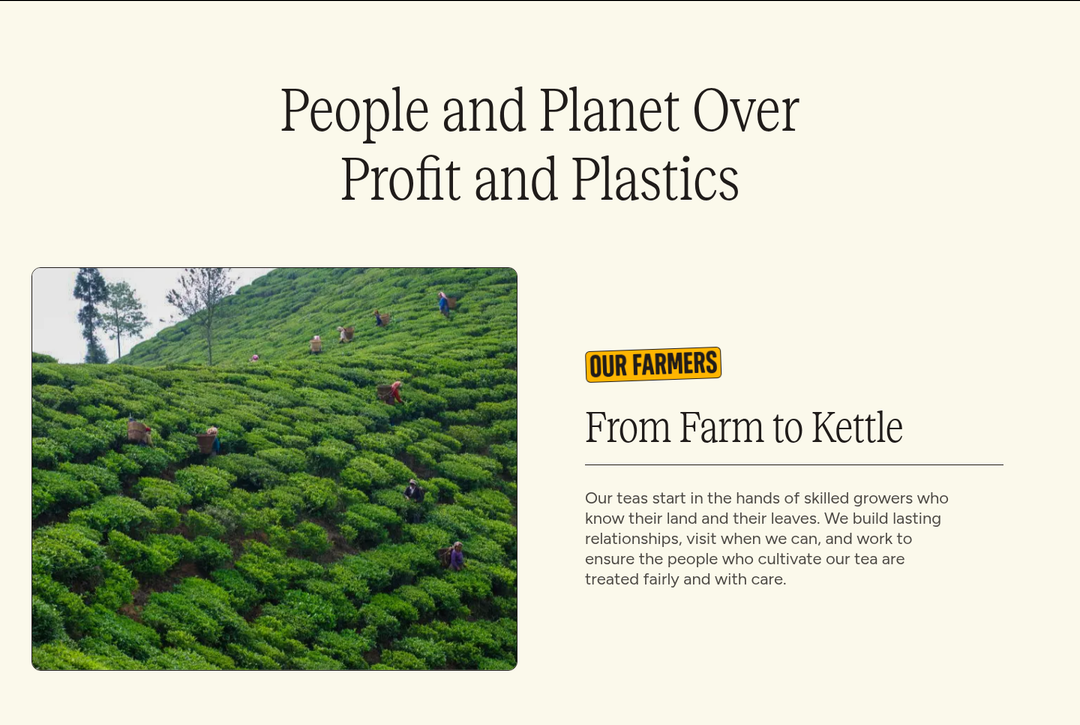 People and Planet Over Profit and Plastics section from Two Leaves and a Bud