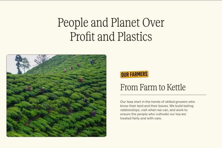 People and Planet Over Profit and Plastics section from Two Leaves and a Bud