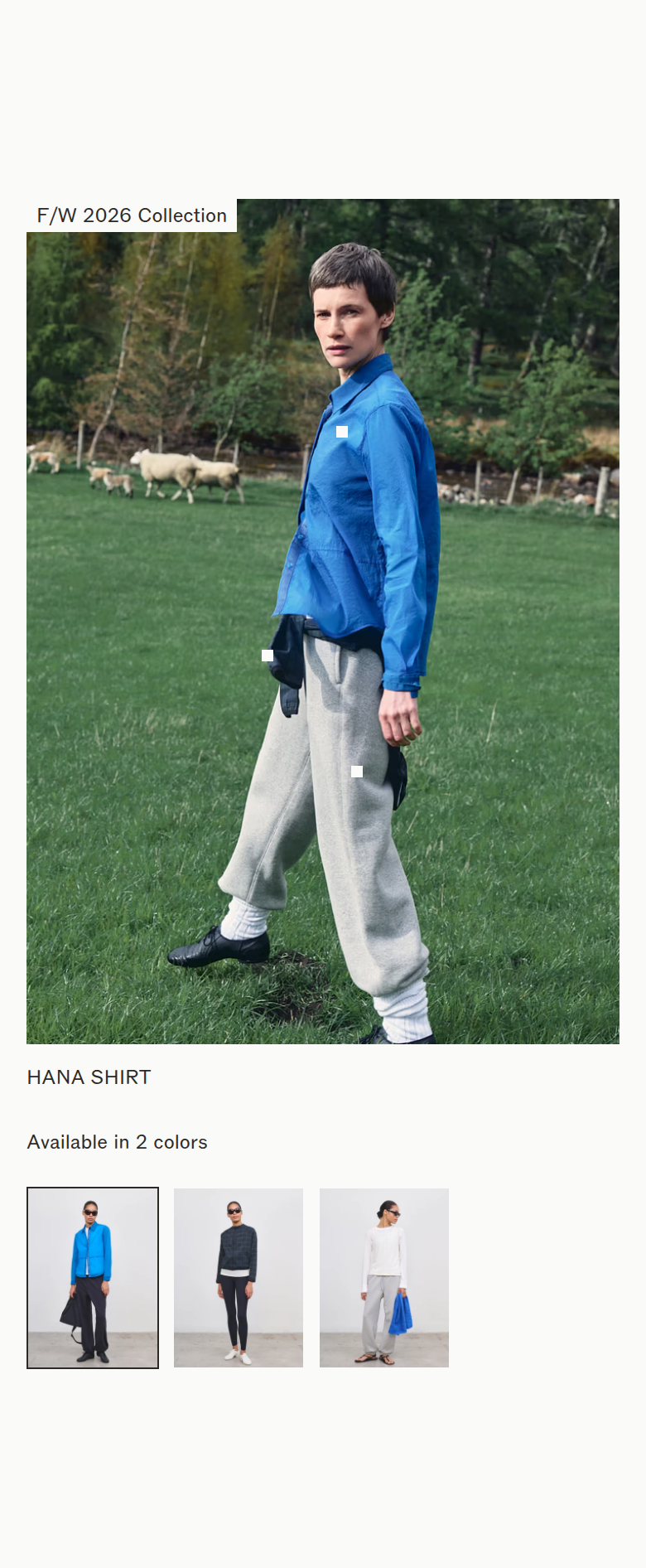F/W 2026 Collection section from Literary Sport, on a phone