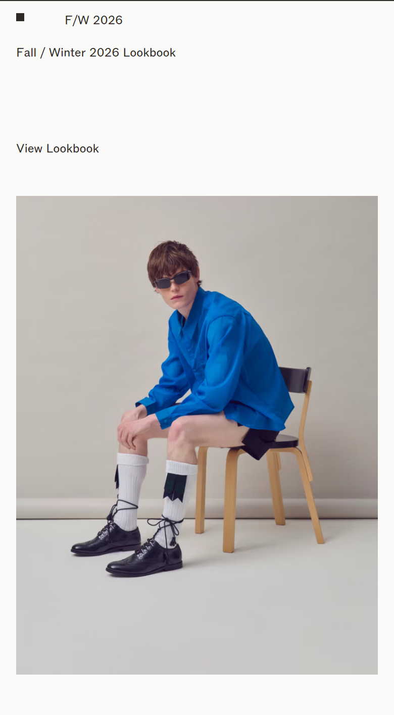 F/W 2026 Lookbook section from Literary Sport, on a phone