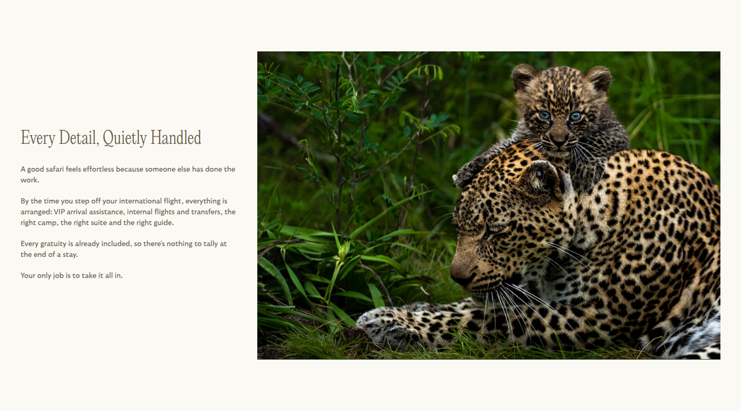 Every Detail, Quietly Handled section from Reverie Safaris