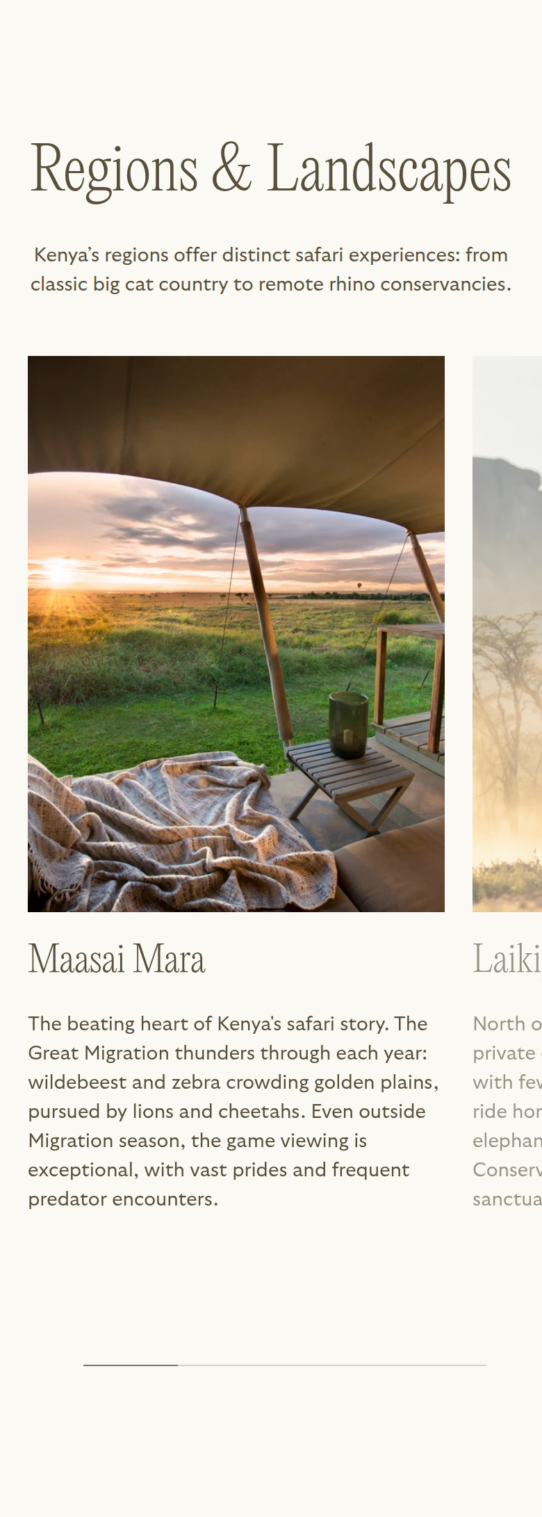 Regions & Landscapes section from Reverie Safaris, on a phone