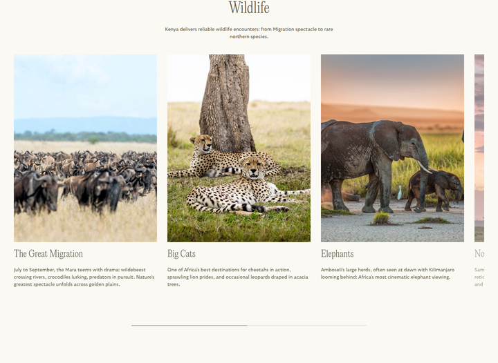 Wildlife section from Reverie Safaris