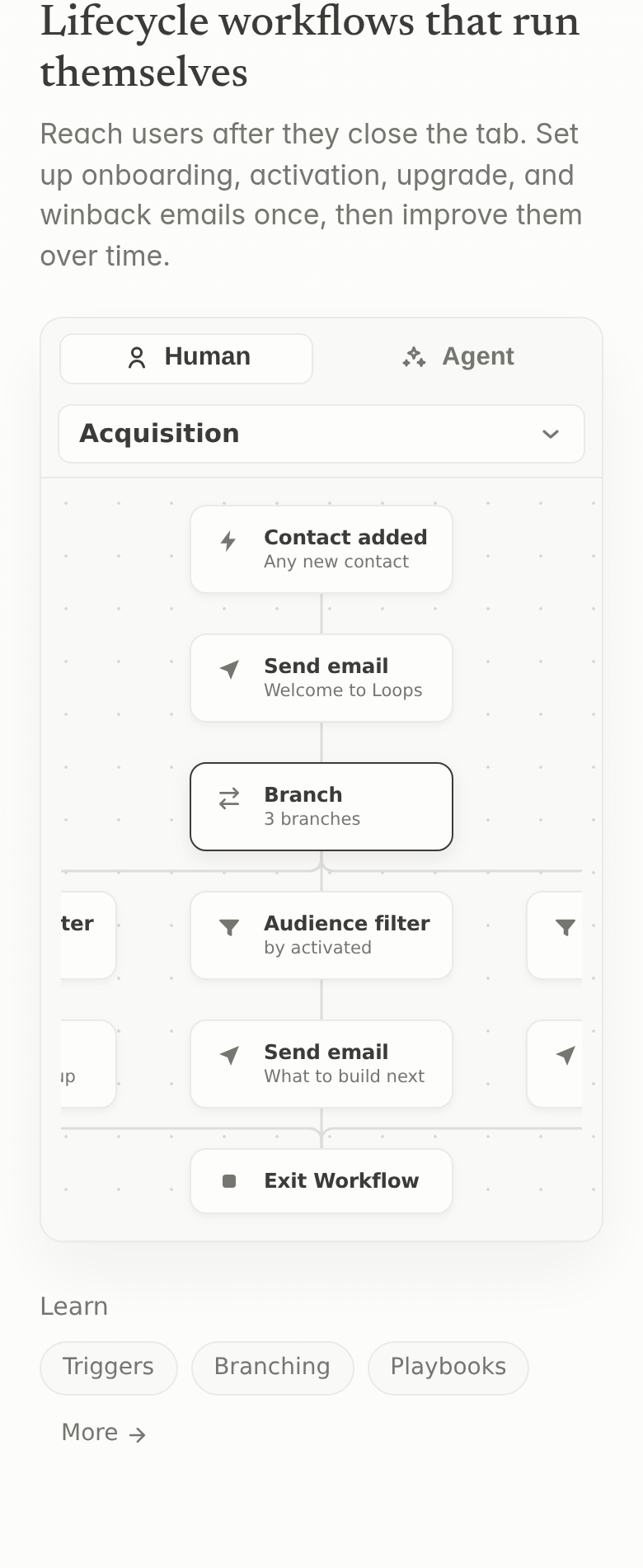 Lifecycle Workflows That Run Themselves section from Loops, on a phone
