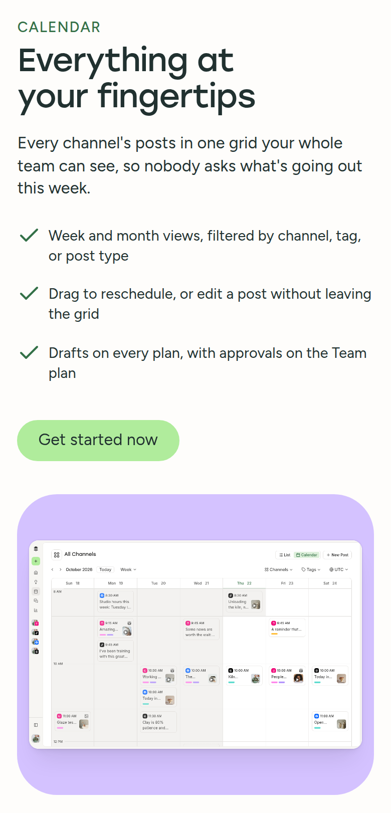 Everything at Your Fingertips section from Buffer, on a phone