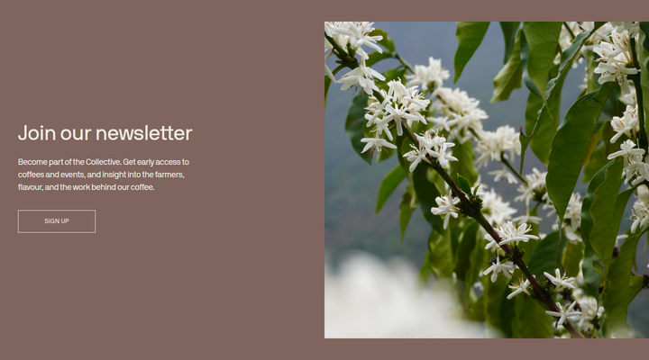 Join Our Newsletter section from Coffee Collective