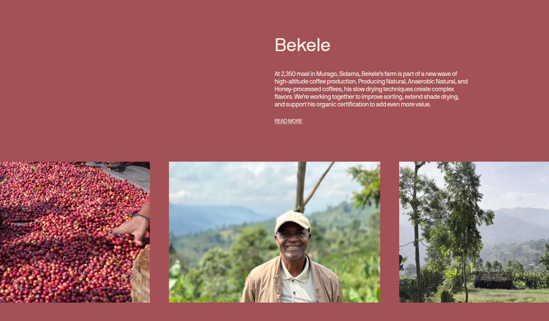 Bekele section from Coffee Collective