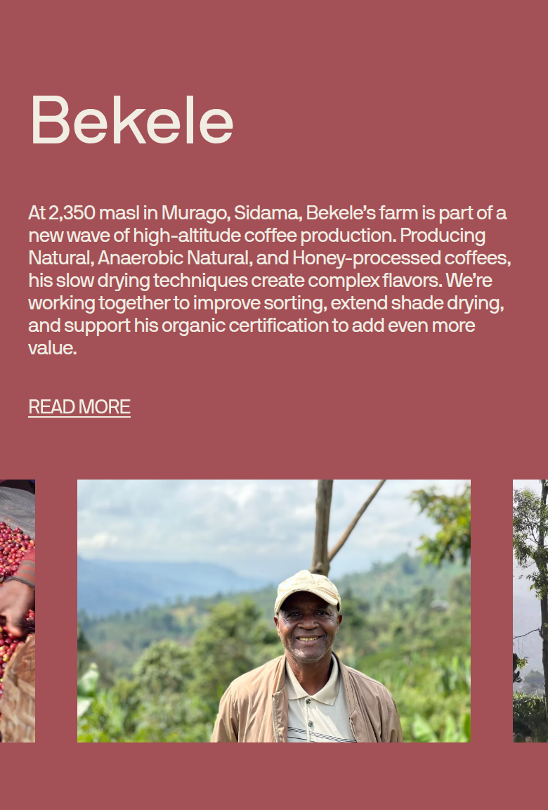 Bekele section from Coffee Collective, on a phone