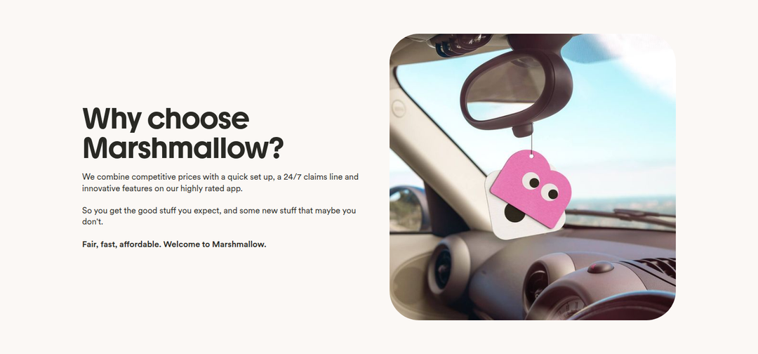 Why Choose Marshmallow? section from Marshmallow